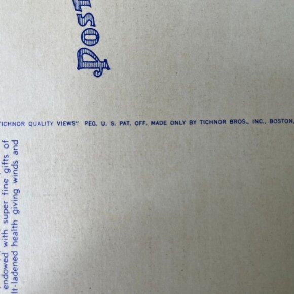 Vintage Linen Postcard Sunken Garden Miami Florida  Firestone Estate u - Picture 5 of 5